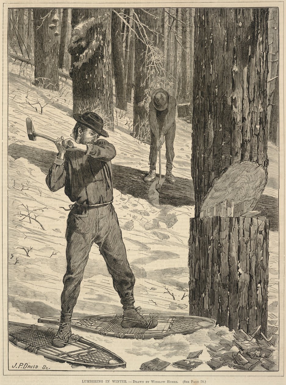 Il taglio del legno in inverno, da Ogni sabato: A Journal of Choice Reading, 28 gennaio 1871 da Winslow Homer