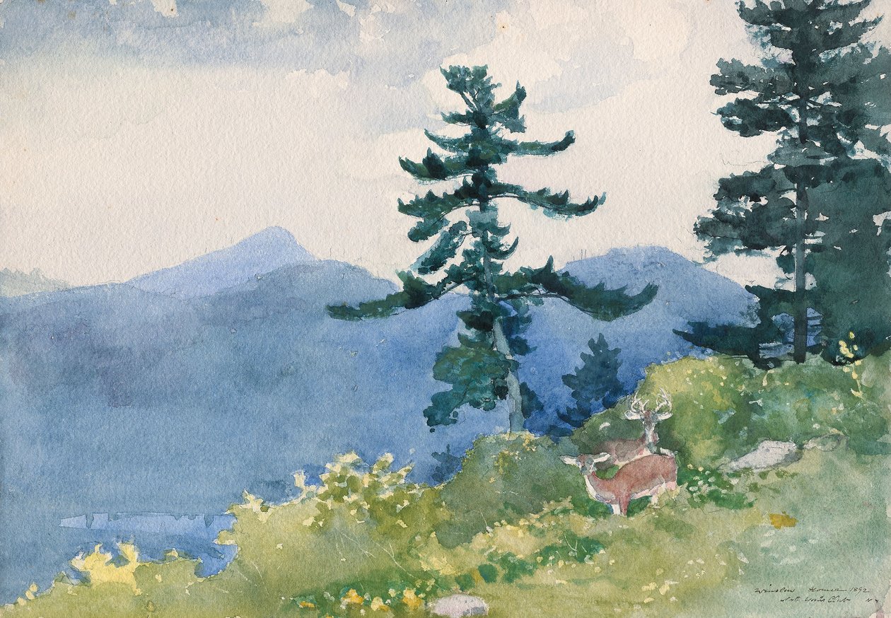 North Woods Club, Adirondacks (L