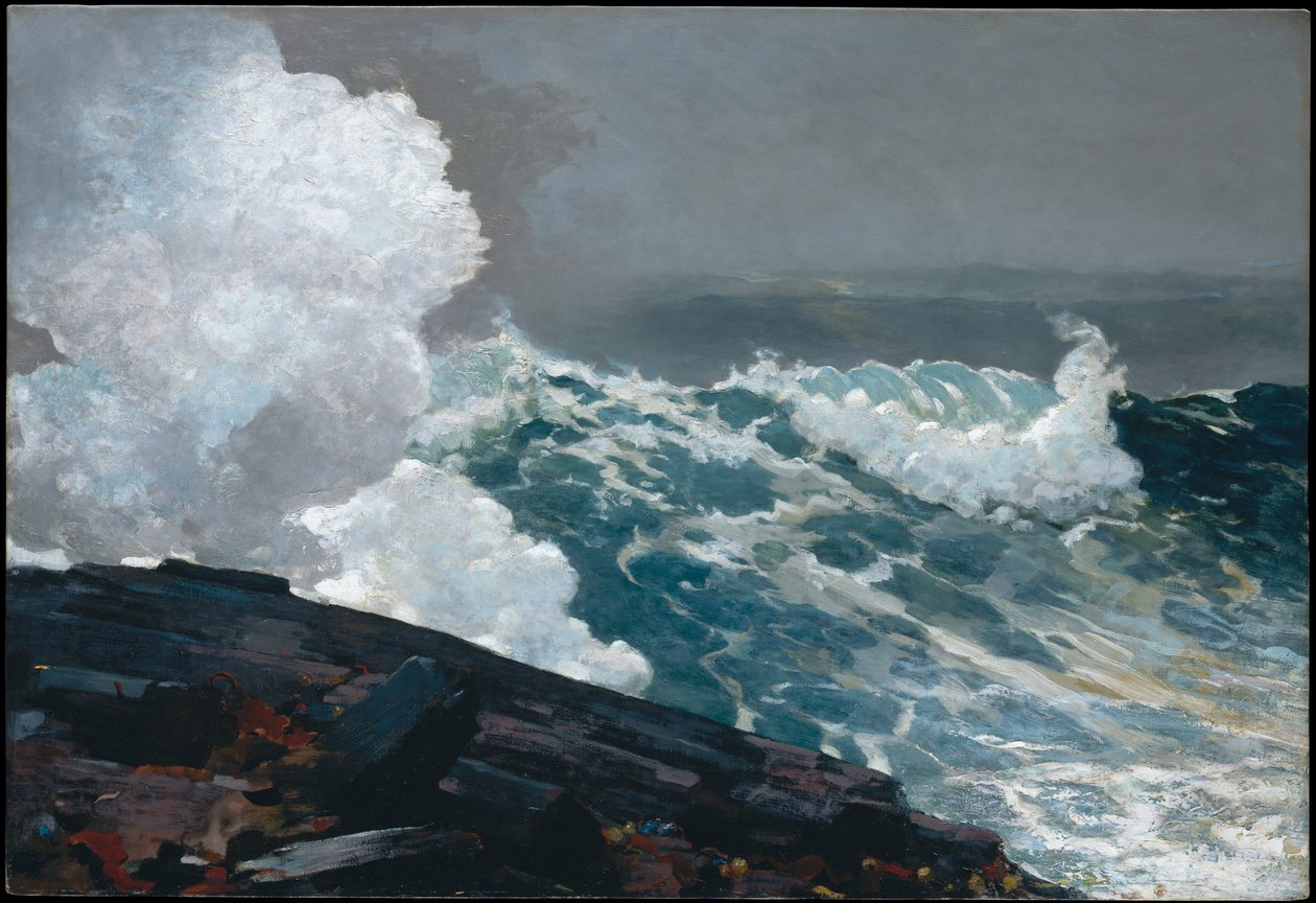 Tempesta di nord-est da Winslow Homer