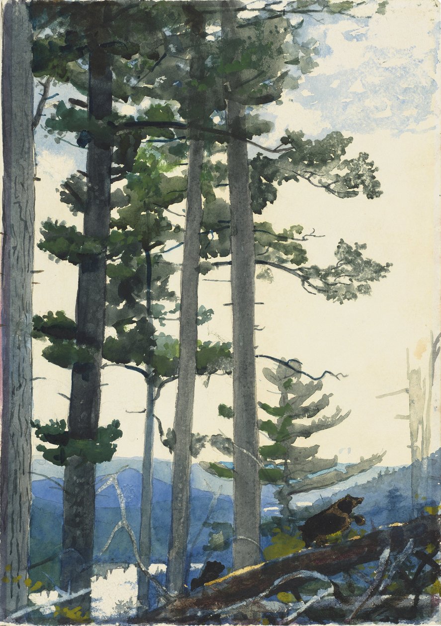 Vecchi coloni da Winslow Homer