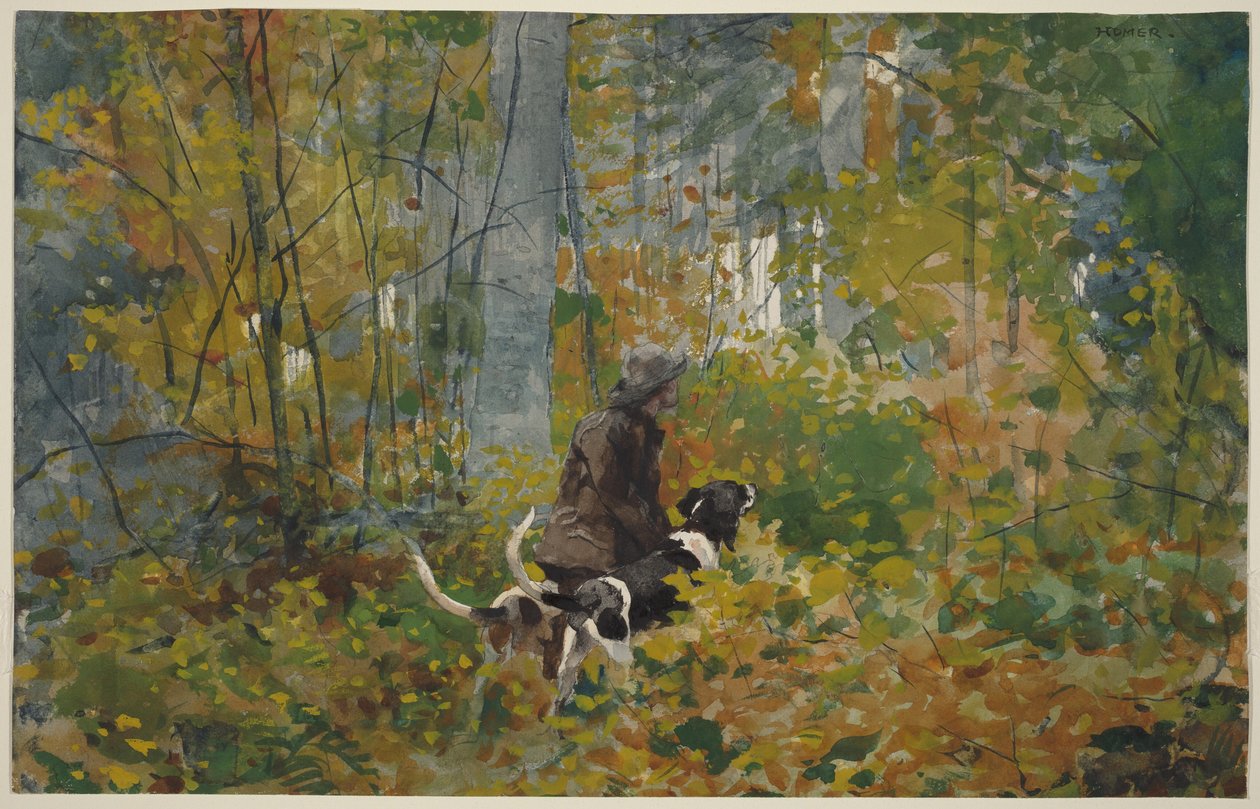 Sulle tracce da Winslow Homer