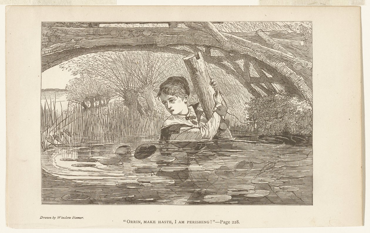 Orrin, affrettati, sto morendo da Winslow Homer