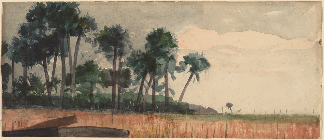 Palme, rosse da Winslow Homer
