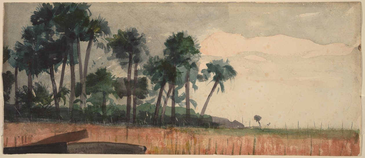Palme rosse da Winslow Homer