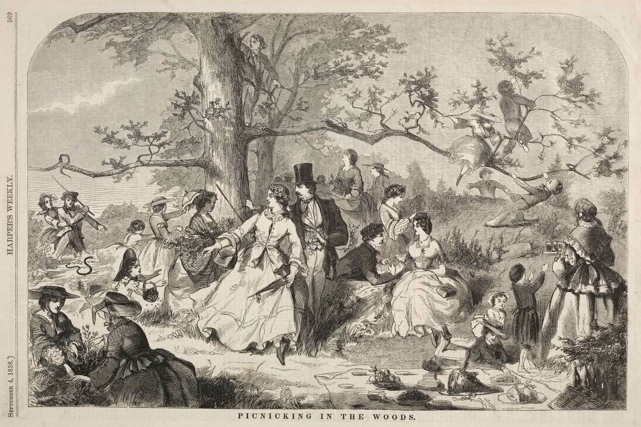Picnic nel bosco da Winslow Homer