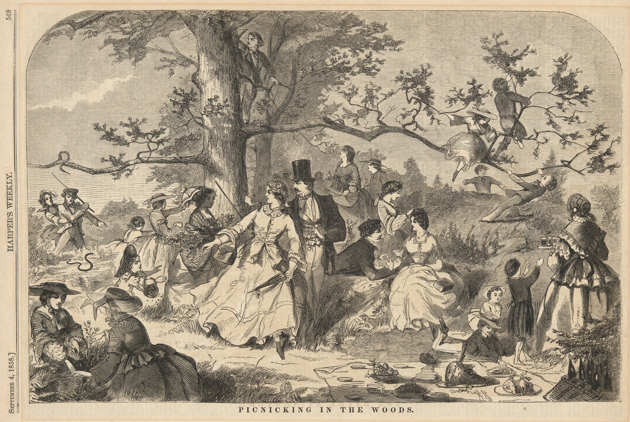 Picnic nel Bosco, da Harper da Winslow Homer