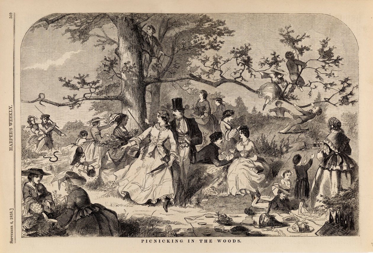 Picnic nel bosco, da Harper