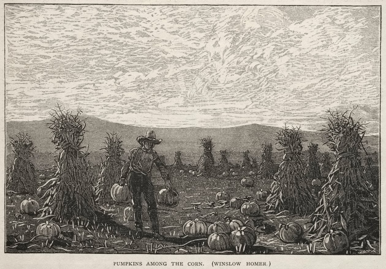 Zucca tra il Mais da Winslow Homer