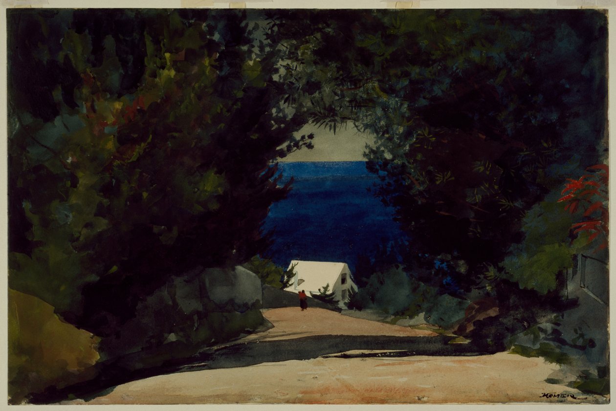 Strada alle Bermuda, 1899-1901 circa (acquerello su carta) da Winslow Homer