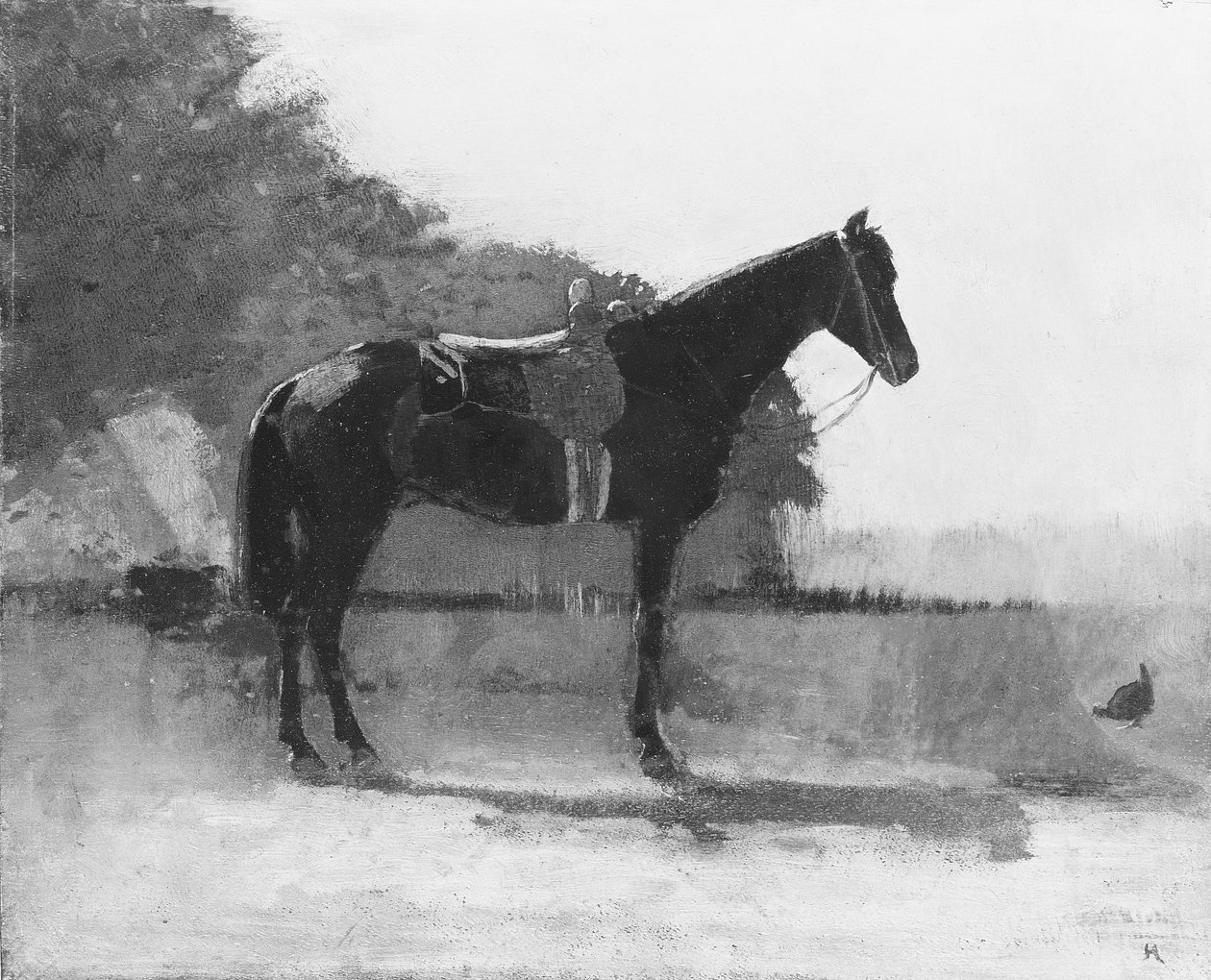 Cavallo da sella nel cortile della fattoria da Winslow Homer