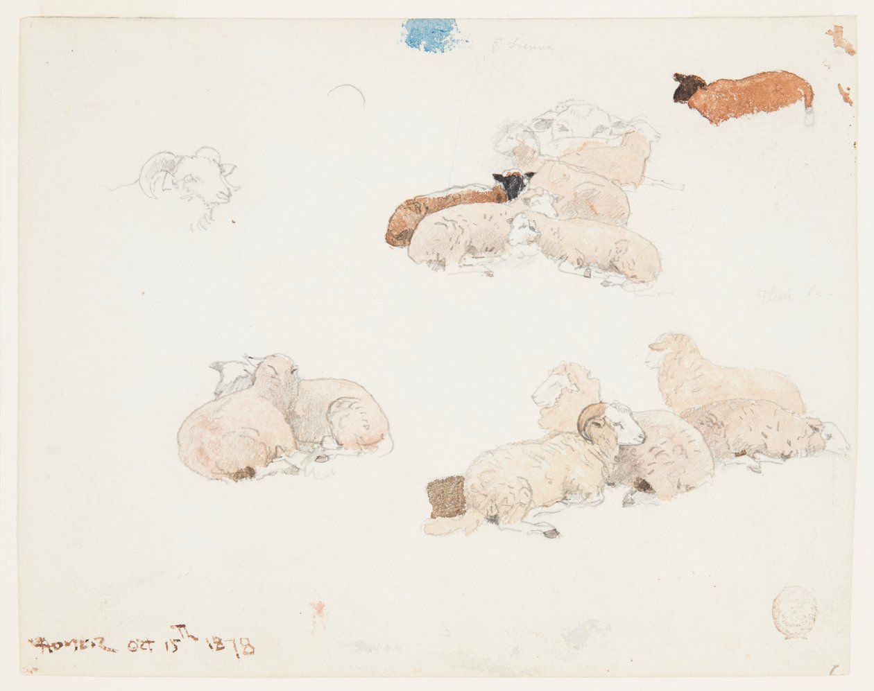 Pecore a riposo da Winslow Homer