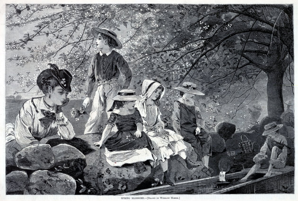 Fiori di primavera, da Harper