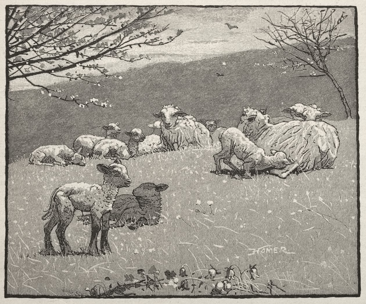 Agnello da primavera da Winslow Homer