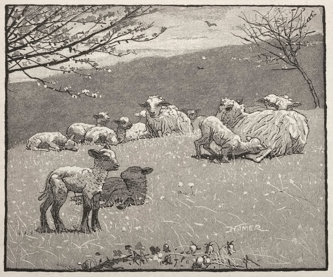 Agnello di primavera, 1880 da Winslow Homer