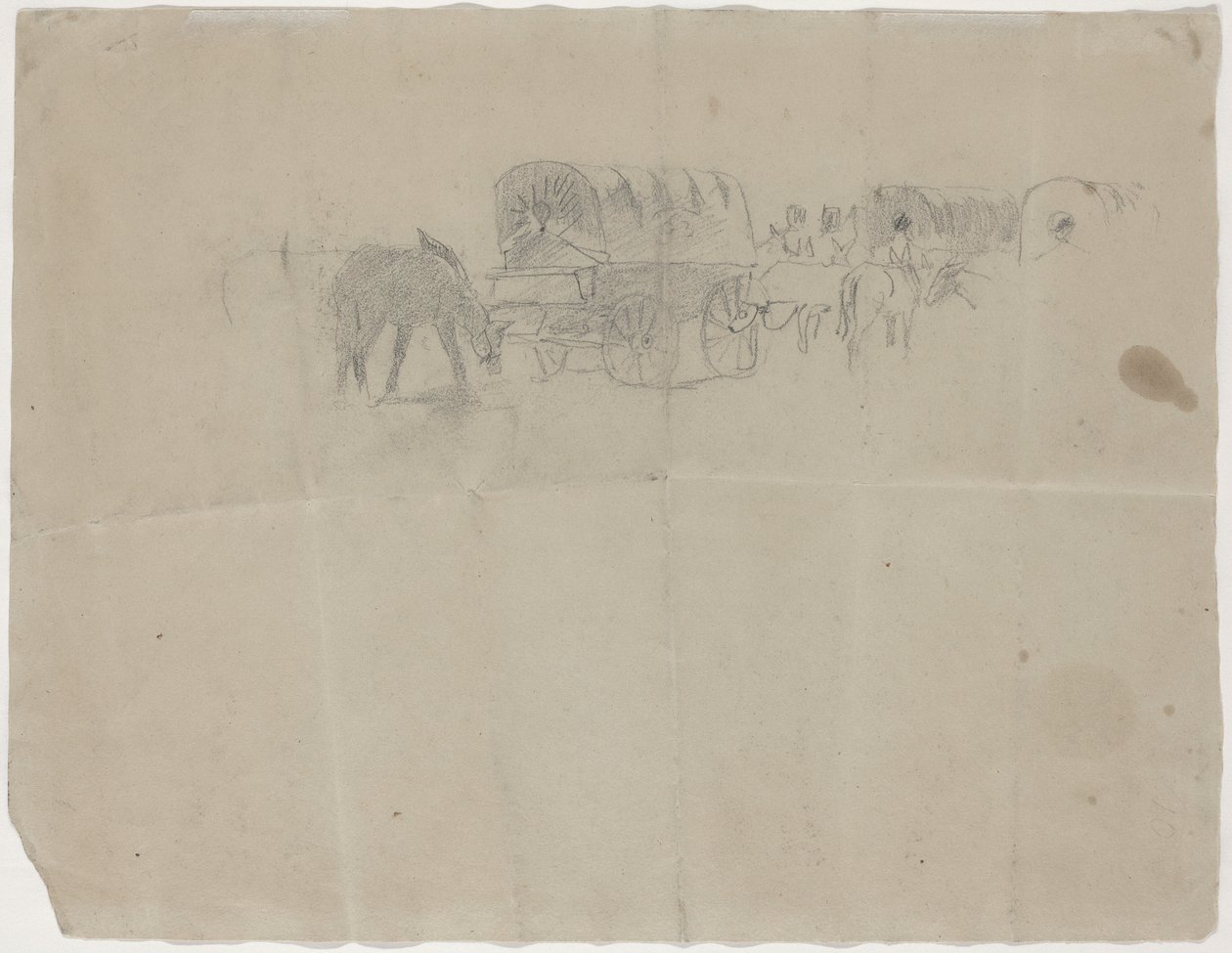 Treno di rifornimento e muli [verso] da Winslow Homer