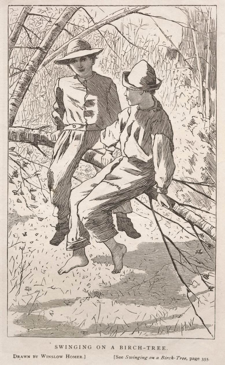 Dondolare su una betulla da Winslow Homer