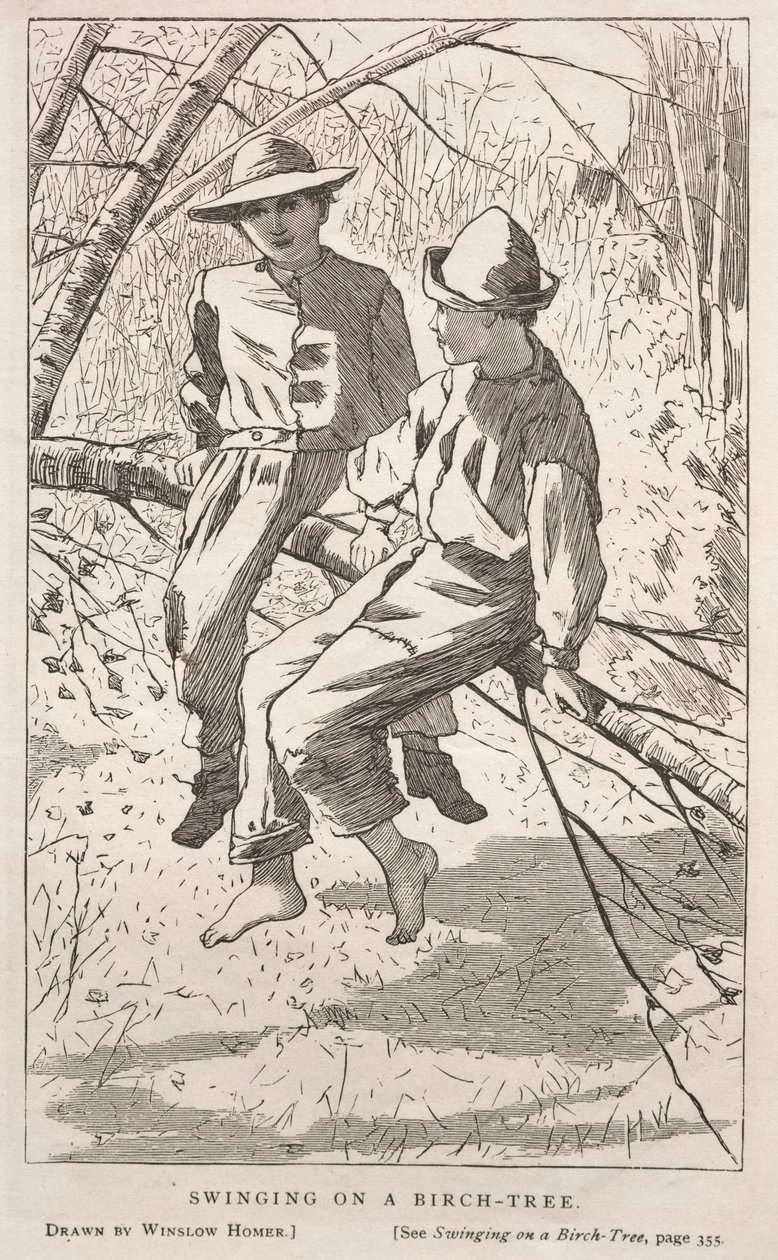Dondolarsi su un albero di betulla, 1867 da Winslow Homer