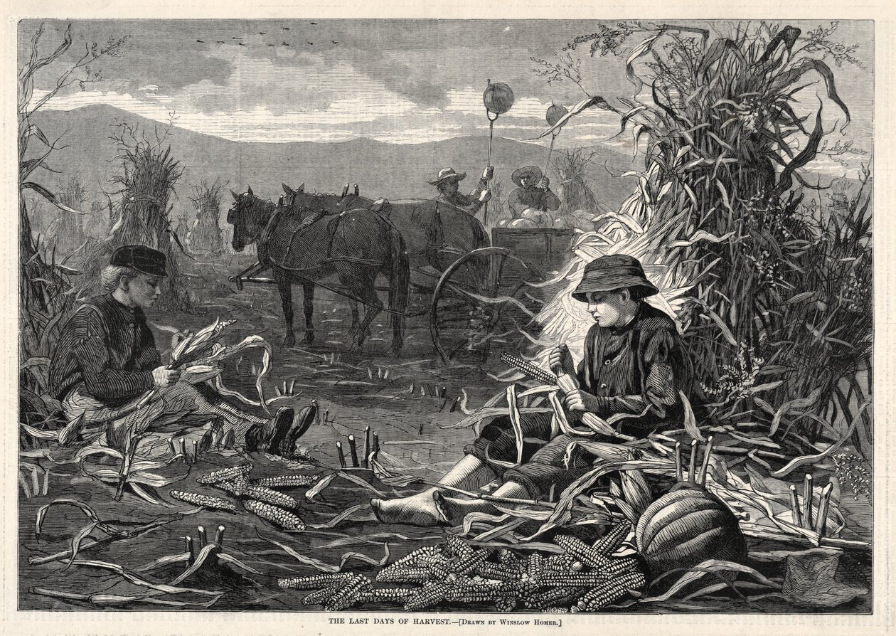 Gli ultimi giorni della vendemmia da Winslow Homer