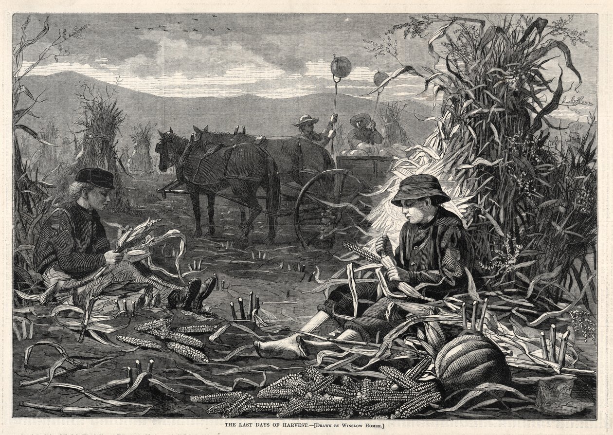 Gli ultimi giorni del raccolto, 1873 da Winslow Homer