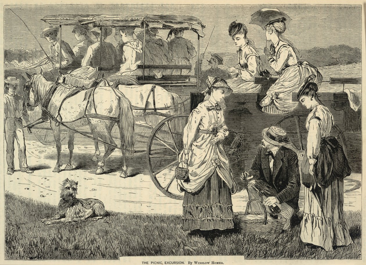 La gita al picnic, da Appletons
