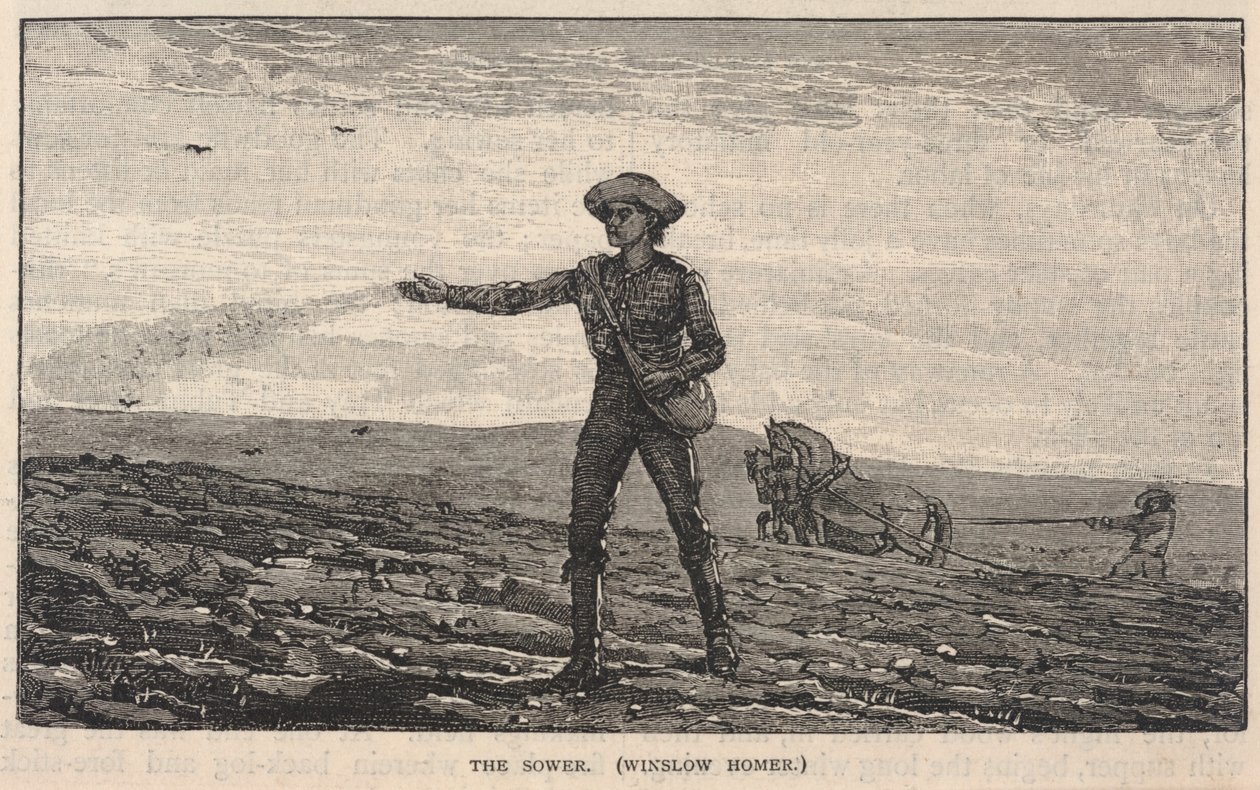 Il seminatore, da Scribner