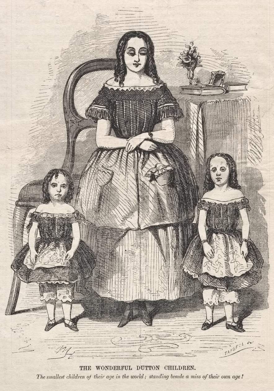 I meravigliosi bambini Dutton da Winslow Homer