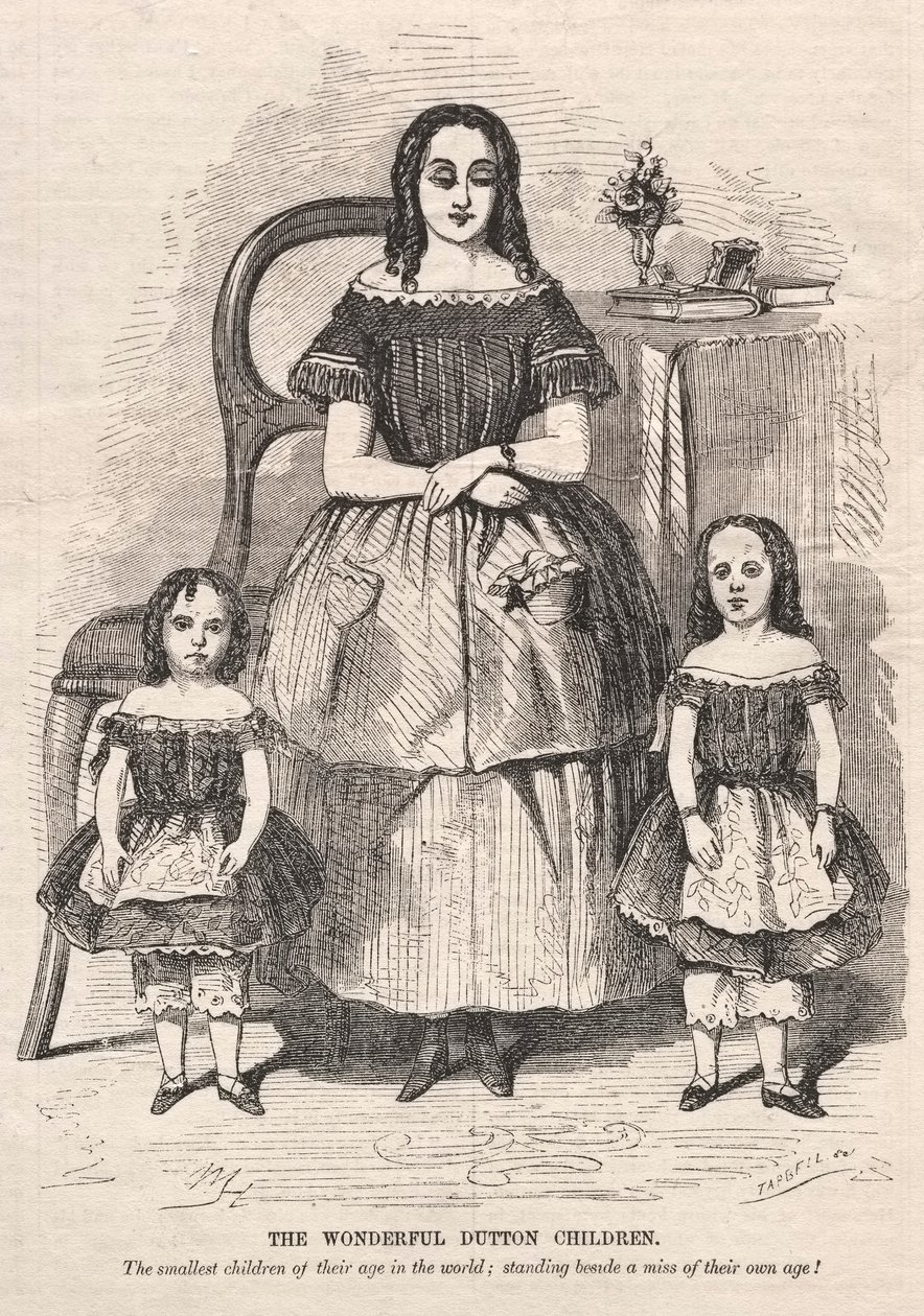 I meravigliosi bambini Dutton, 1859 da Winslow Homer