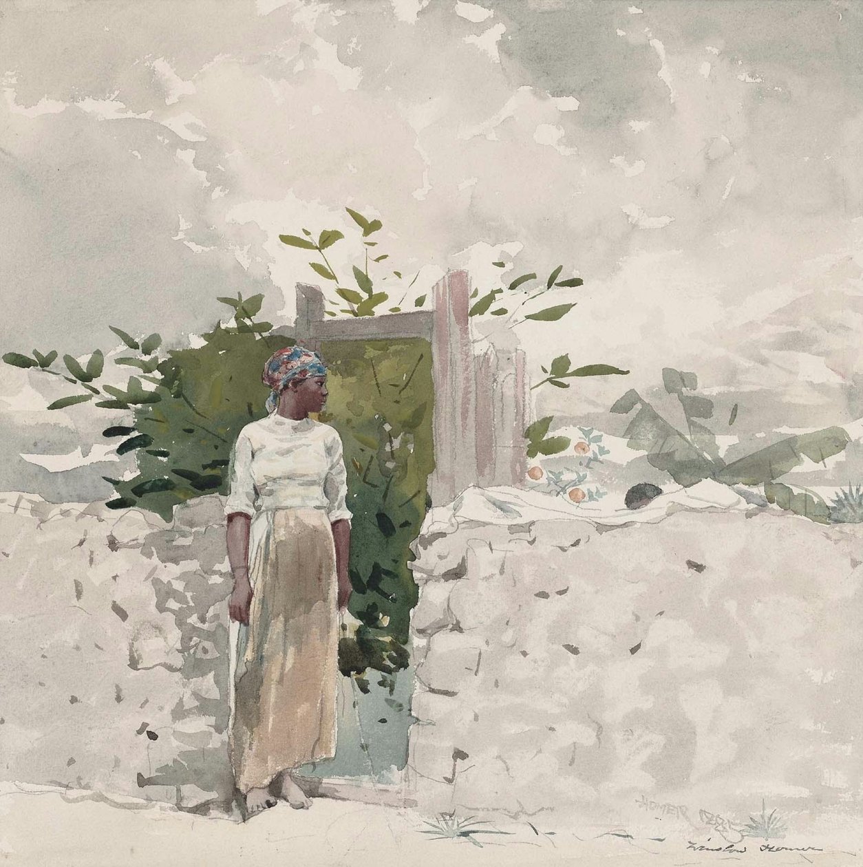 Donna in piedi davanti a un cancello, Bahamas da Winslow Homer