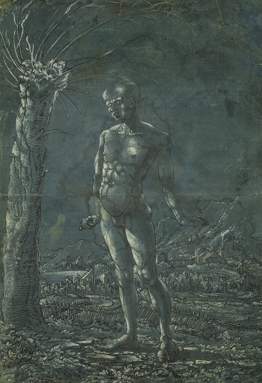 Uomo nudo in piedi in un paesaggio, c.1512 da Wolf Huber