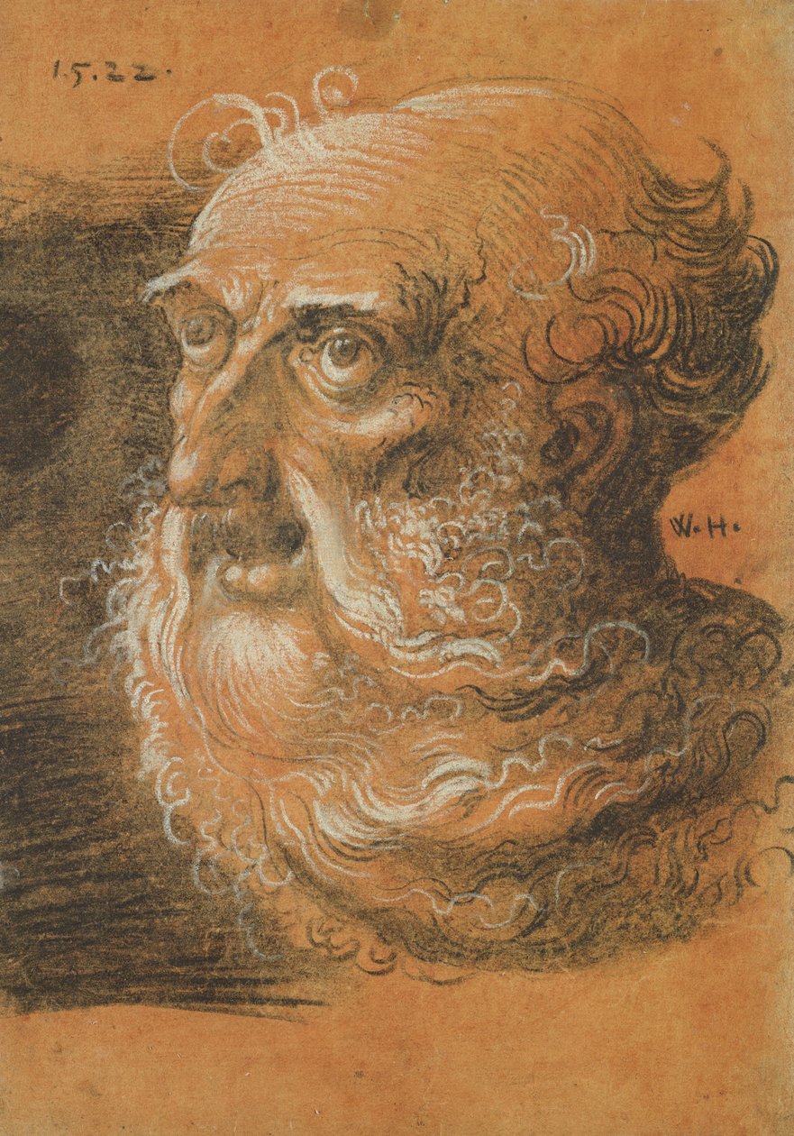 Studio della testa, 1522 da Wolf Huber
