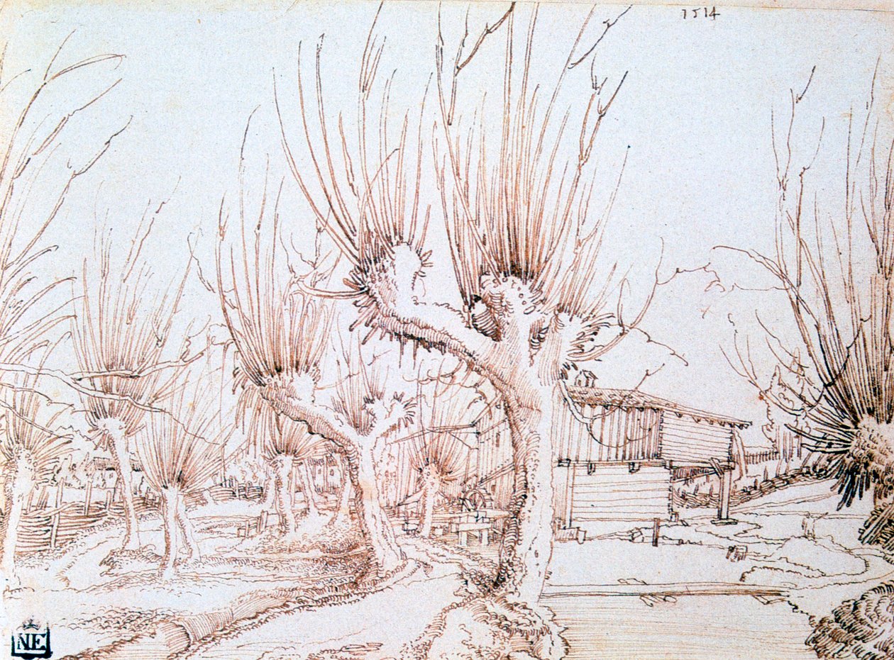 Piantagione di salici da Wolf Huber