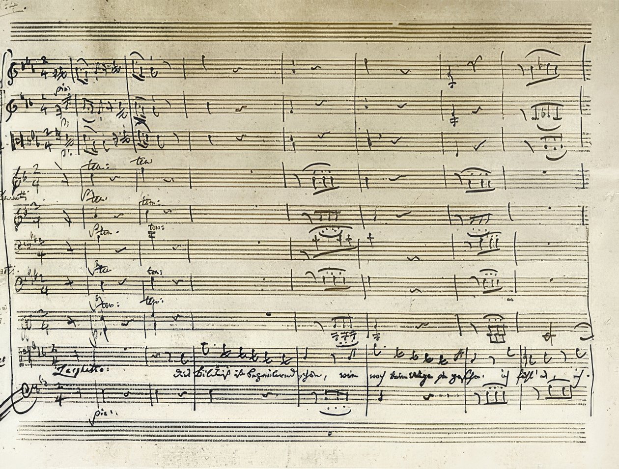 Manoscritto autografo dell