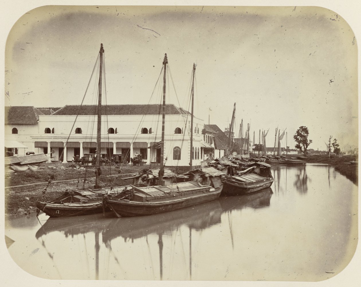 Grande albero sul canale del porto a Batavia da Woodbury and Page