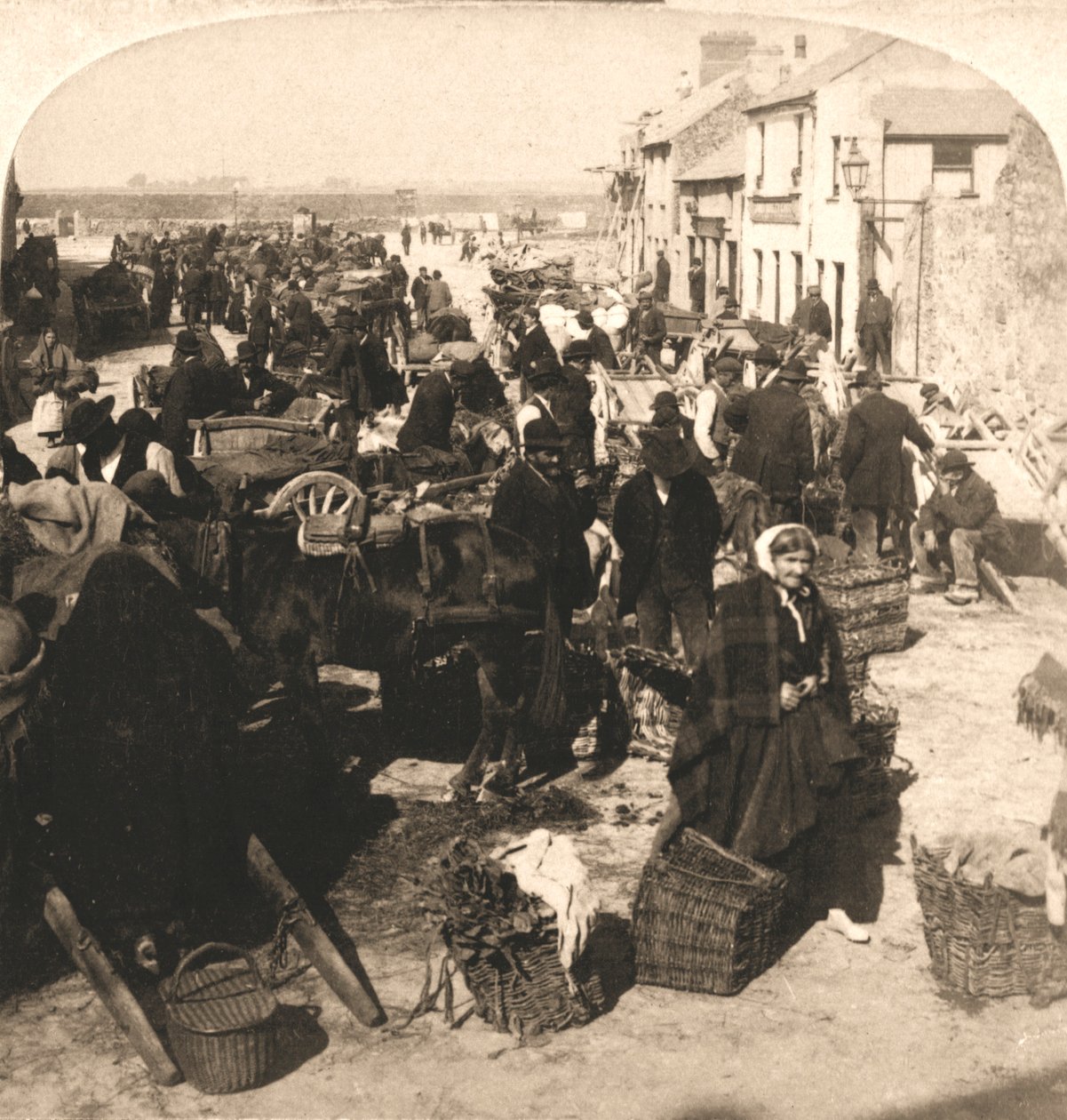 Vendita del bastone della vita dell