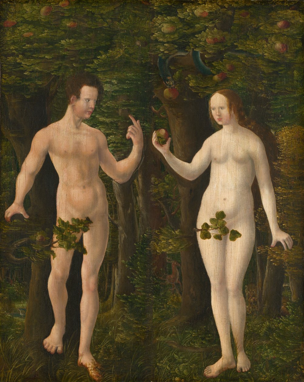 La caduta dell