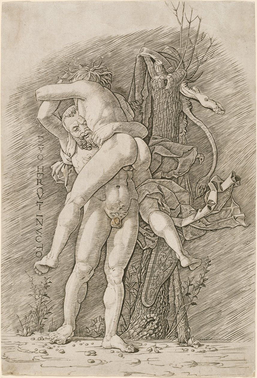 Ercole e Anteo da Workshop of Andrea Mantegna