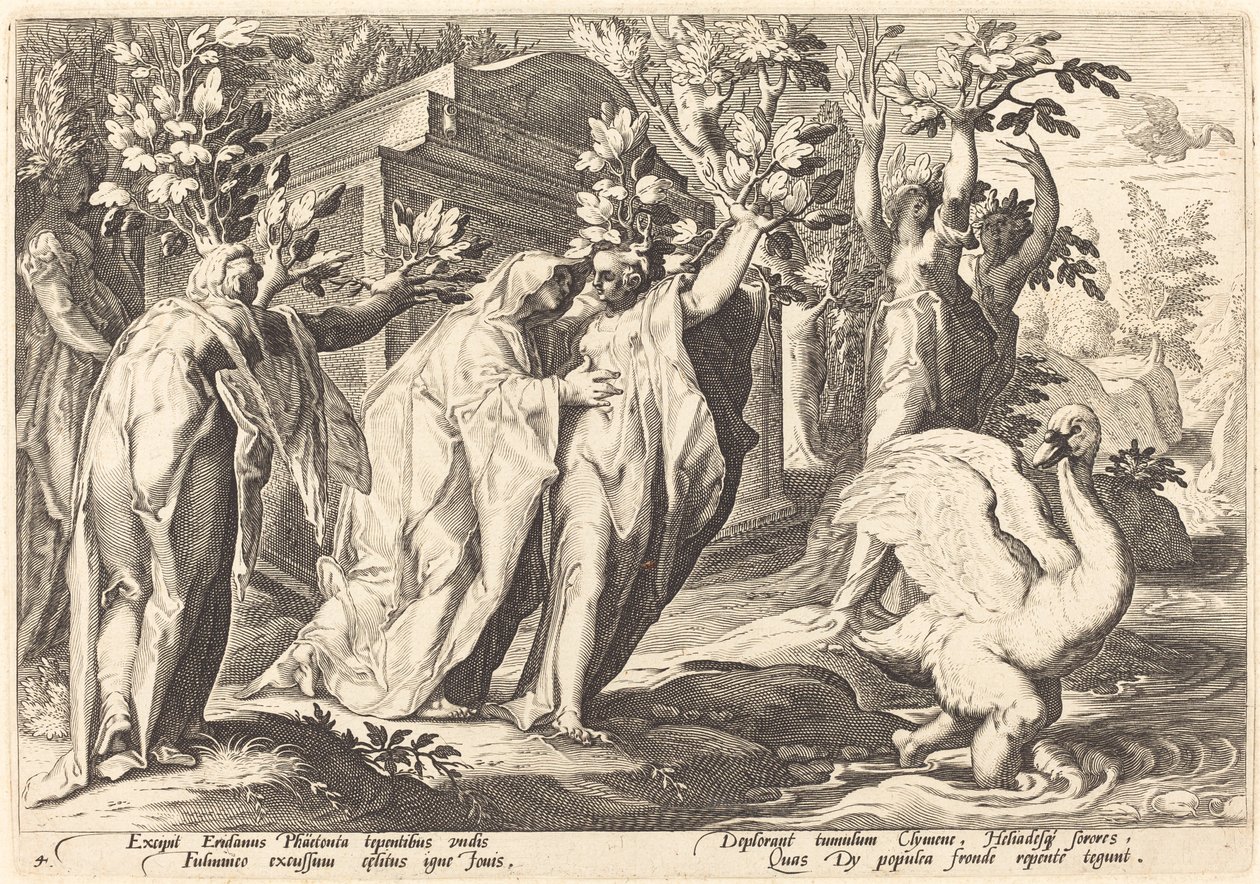 Le Sorelle di Fetonte Trasformate in Pioppi, Cigno in un Cigno da Workshop of Hendrick Goltzius, after Hendrick Goltzius