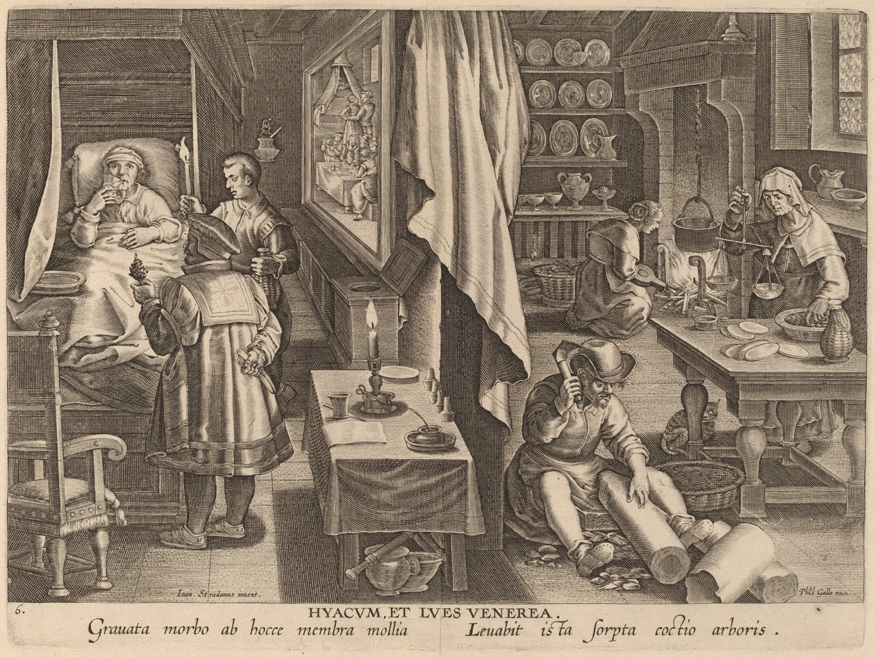 Guaiaco e infezione venerea da Workshop of Philip Galle after Jan van der Straet