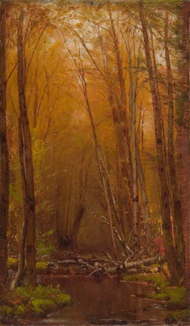 Le betulle dei Catskills da Worthington Whittredge