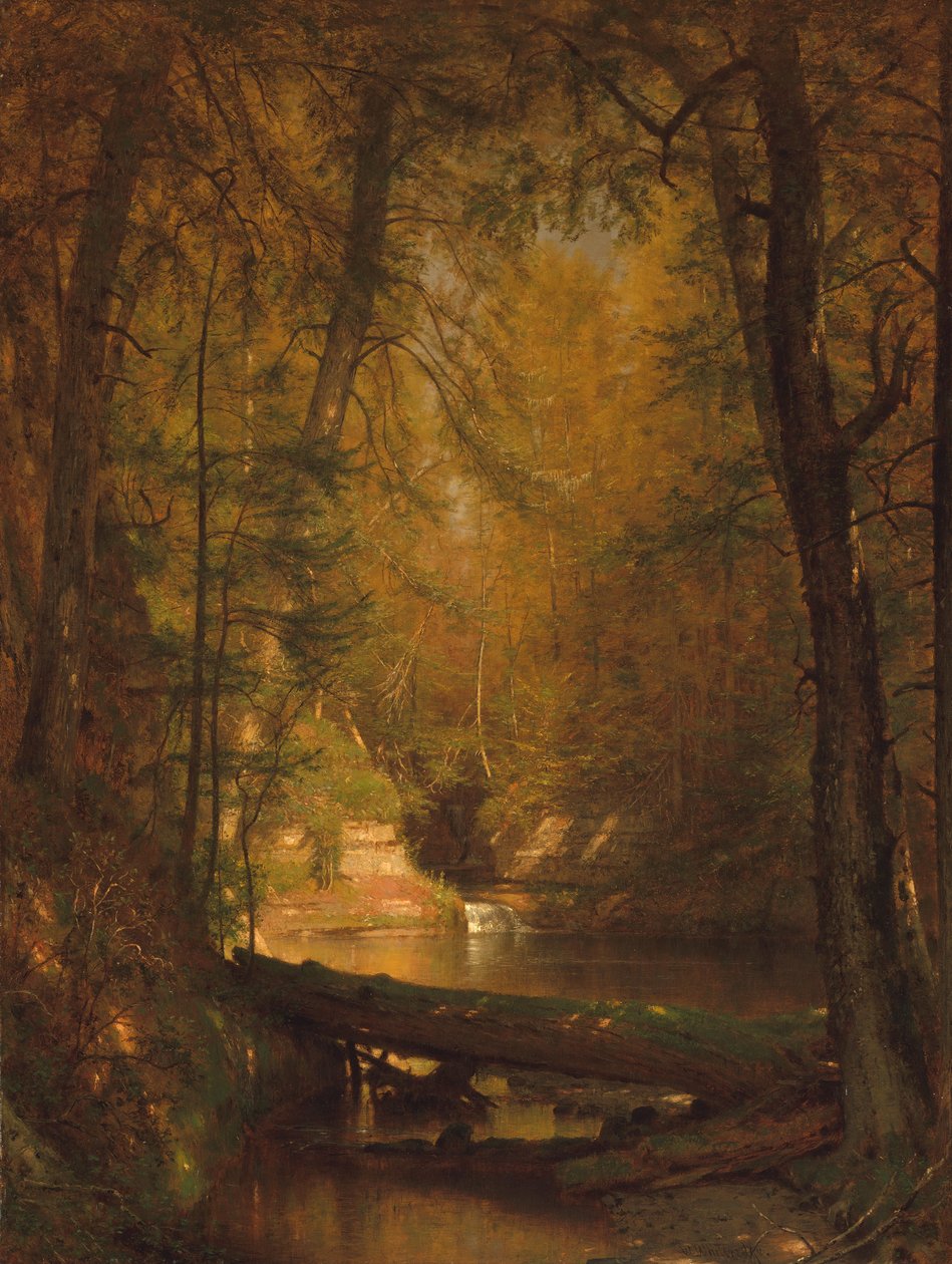 La piscina delle trote da Worthington Whittredge