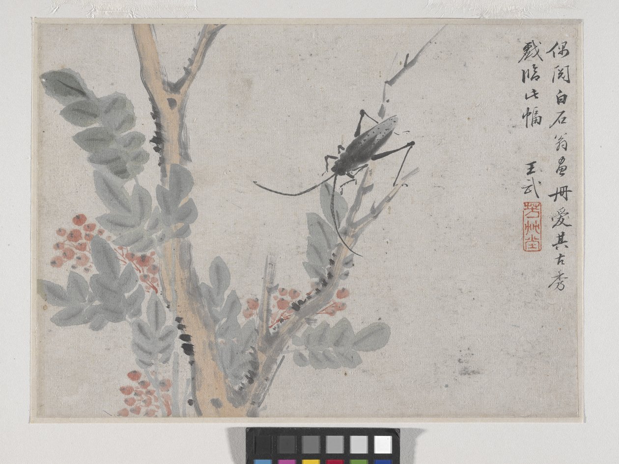 Insetto e albero dopo Shen Zhou da Wu Wang