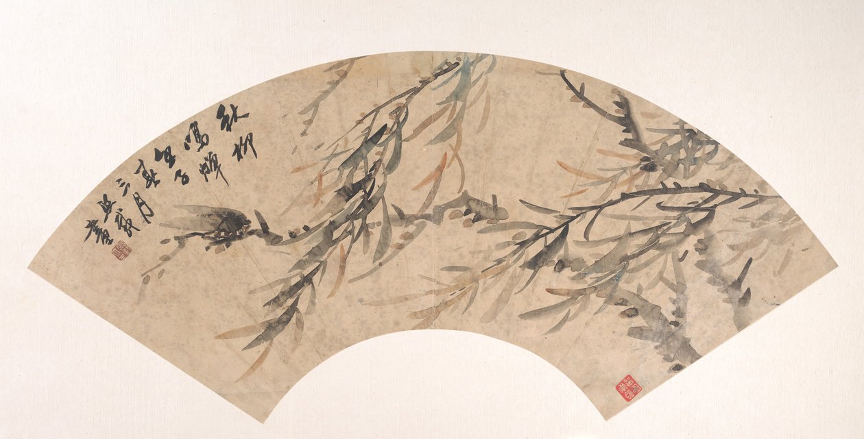 Cicala da Wu Xizai