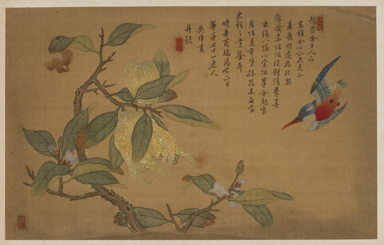 Uccello, frutta e fiori da Wu Zhang
