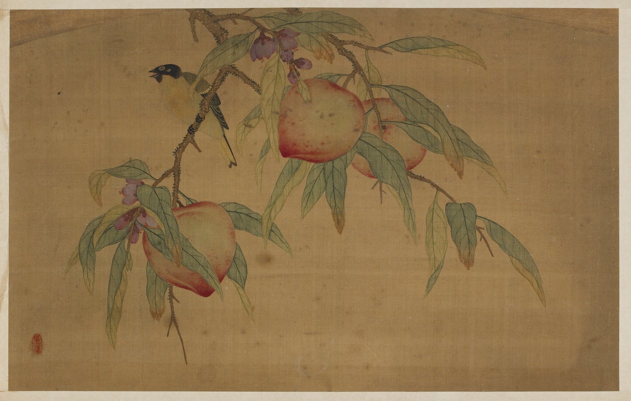 Uccello, frutta e fiori da Wu Zhang