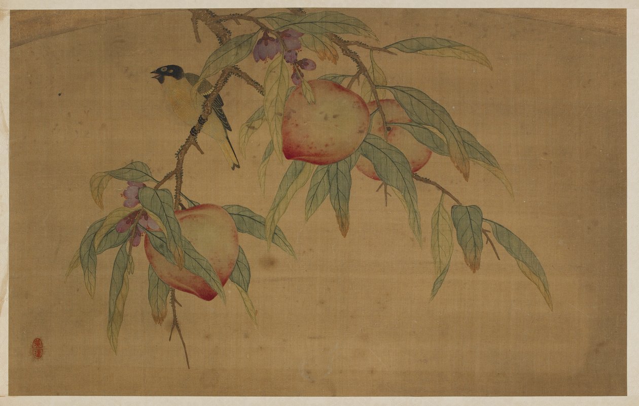 Uccello, frutta e fiori, dinastia Qing, 1741 da Wu Zhang