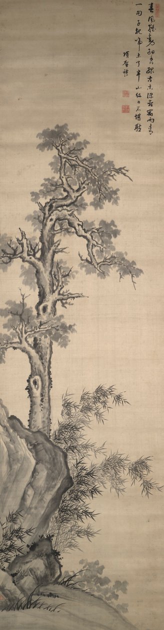 Albero di Wutong, Bambù e Roccia da Xiang Shengmo