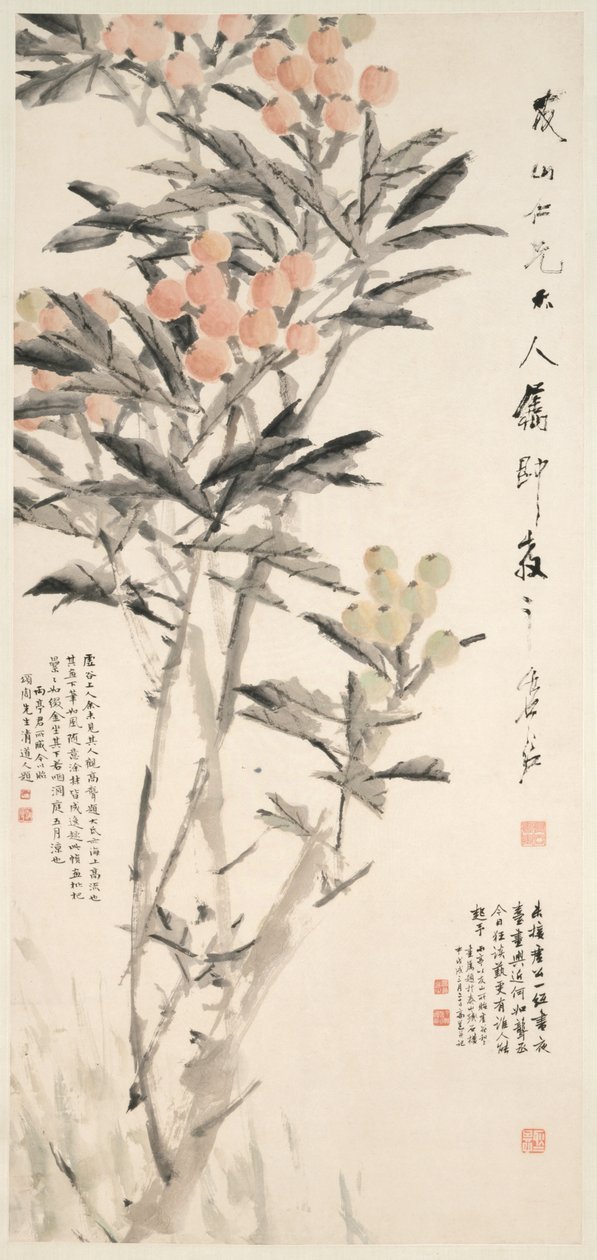 Pipa Loquats, c. 1888-89 da Xugu