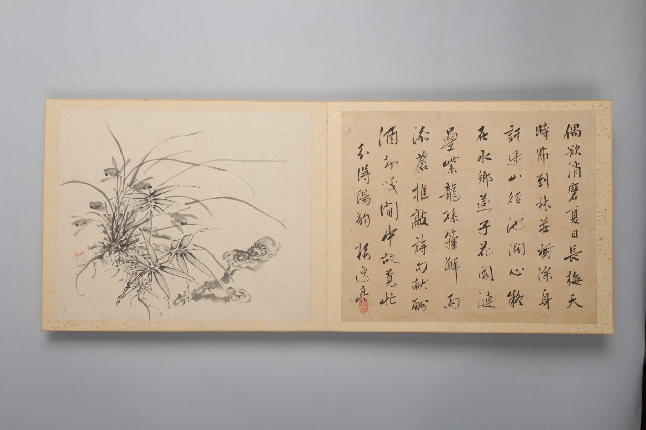 Eleganza raffinata nelle quattro stagioni Shiji seiga, Album di dipinti floreali, 1844 da Yamamoto Baiitsu