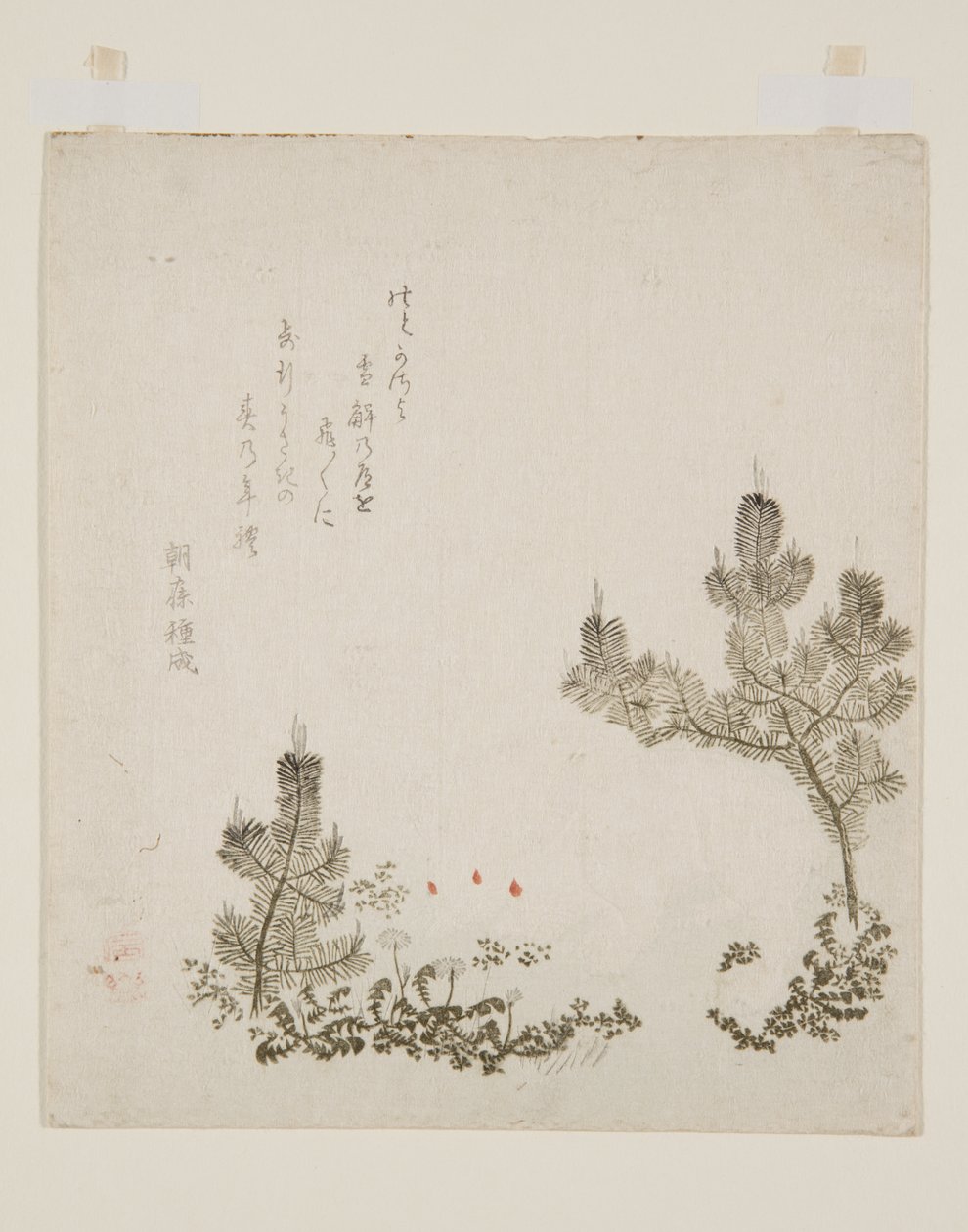 (stampa a blocchi di legno a colori) da Yashima Gakutei