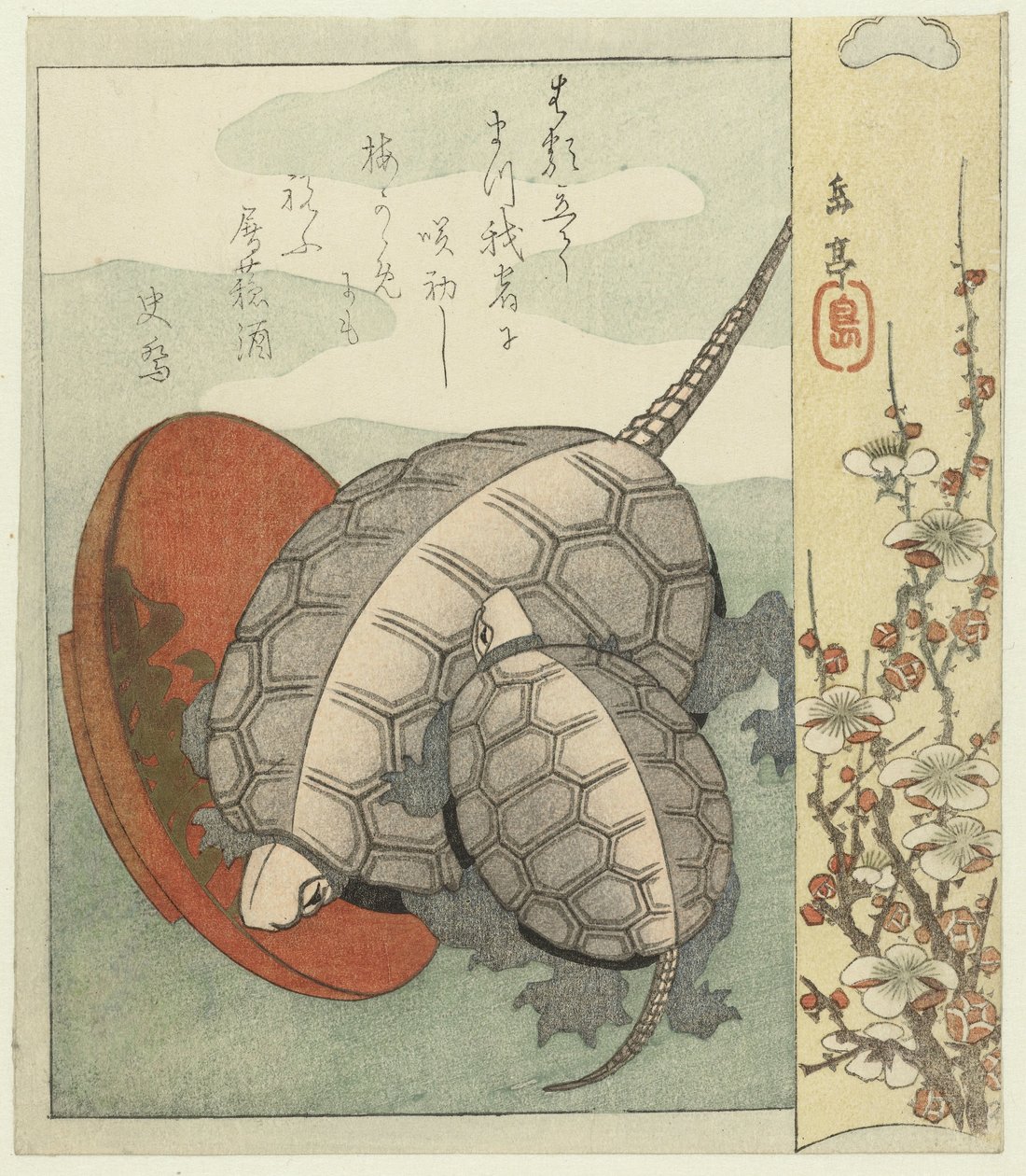 Tartarughe con ciotola di sake da Yashima Gakutei